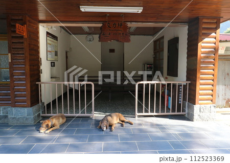 阿里山森林鉄道　交力坪駅の駅舎 112523369