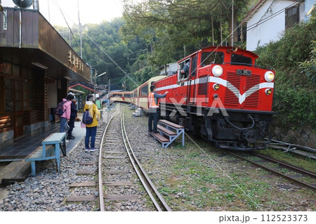 阿里山森林鉄道　交力坪駅と列車 112523373