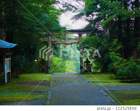 白山平泉寺 境内 福井県勝山市 白山平泉寺 境内 福井県勝山市 112525650