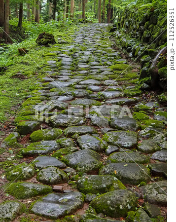 白山平泉寺 石畳 境内 白山平泉寺 石畳 境内 112526351