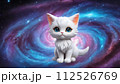 宇宙に浮かぶ猫のイラスト 1 112526769