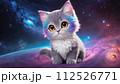 宇宙に浮かぶ猫のイラスト 3 112526771