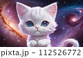 宇宙に浮かぶ猫のイラスト 4 112526772