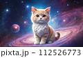 宇宙に浮かぶ猫のイラスト 5 112526773