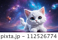 宇宙に浮かぶ猫のイラスト 6 112526774