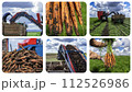 Carrot Harvesting - Carrot Harvester Unloading On The Go into a Tractor Trailer - Commercial Production of Carrots - Photo Collage 112526986