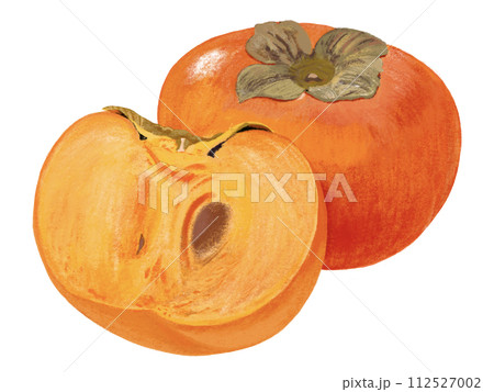 柿（1個と断面） 112527002