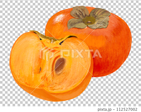 柿（1個と断面） 112527002