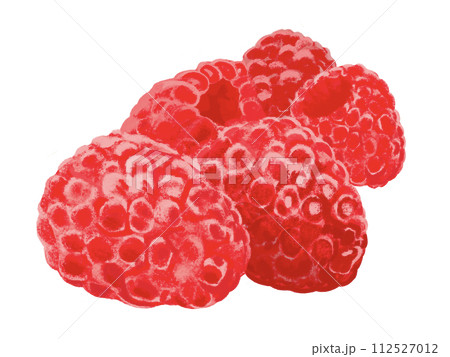 ラズベリー（葉なし） 112527012