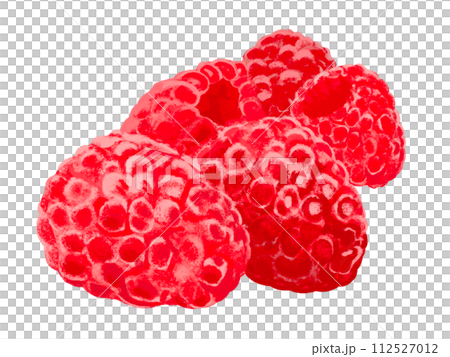 ラズベリー（葉なし） 112527012