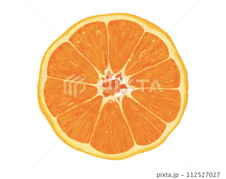 みかん（断面） 112527027