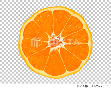 みかん（断面） 112527027