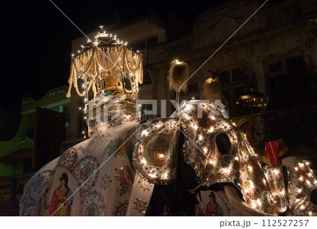 Ceremonial Tusker carrying the Sacred Casket in Kandy Esala Perahera parade also known as the festival of the Buddha tooth. Ceremonial Tusker carrying the Sacred Casket in Kandy Esala Perahera parade also known as the festival of the Buddha tooth. 112527257