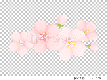 Cherry Blossom	 112527895