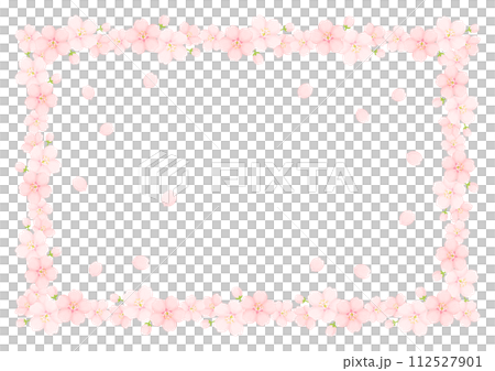 Cherry Blossom	 112527901