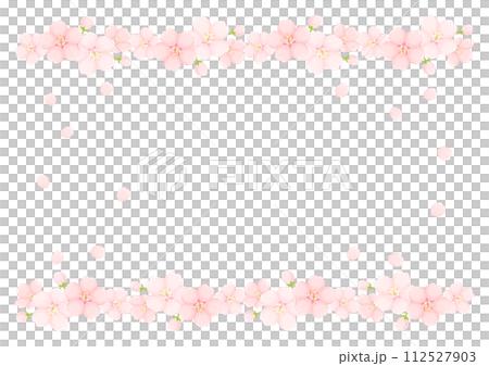 Cherry Blossom Cherry Blossom 112527903
