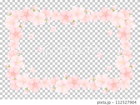 Cherry Blossom	 112527904