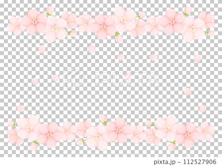 櫻花 112527906