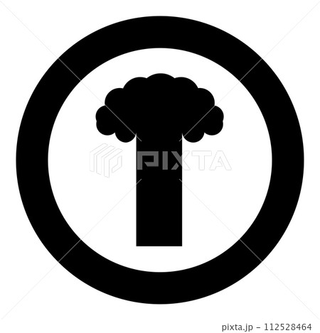 Nuclear explosion burst mushroom explosive destruction icon in circle round black color vector illustration image solid outline style Nuclear explosion burst mushroom explosive destruction icon in circle round black color vector illustration image solid outline style 112528464