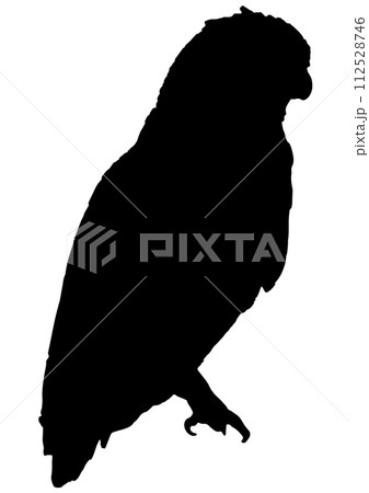 横向きのミミズクのシルエット 横向きのミミズクのシルエット 112528746