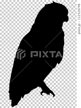 横向きのミミズクのシルエット 横向きのミミズクのシルエット 112528746