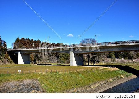 梅まつり期間中の偕楽園の梅林 梅まつり期間中の偕楽園の梅林 112529251