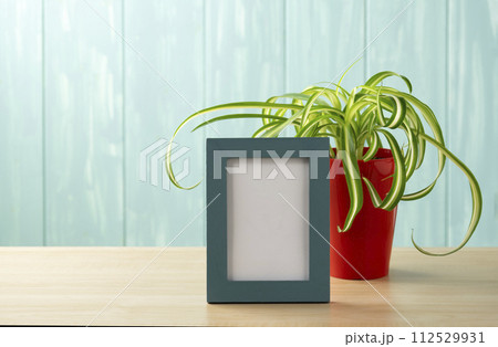 青い壁とオリズルランと青い額 112529931