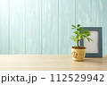 青い壁とカポックと青い額 112529942