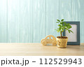 青い壁とカポックと青い額と木のおもちゃ 112529943