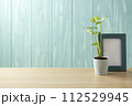青い壁とシンゴニウムと青い額 112529945
