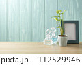 青い壁とシンゴニウムと青い額と香水瓶 112529946