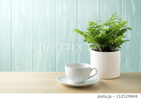 青い壁とアジアンタムとコーヒーカップ 112529949