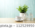 青い壁とアジアンタムとコーヒーカップとガラス瓶 112529950