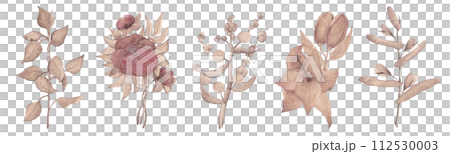 Watercolor clip-art of flowers and plants. Illustrations in coffee tones 112530003
