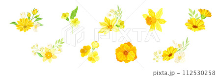 Yellow Blooming Flower as Garden Blossom Vector Set Yellow Blooming Flower as Garden Blossom Vector Set 112530258