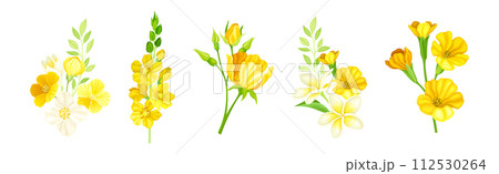 Yellow Blooming Flower as Garden Blossom Vector Set 112530264