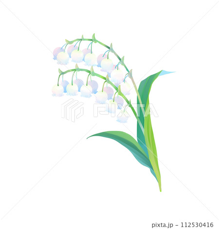 鈴蘭のイラスト 鈴蘭のイラスト 112530416