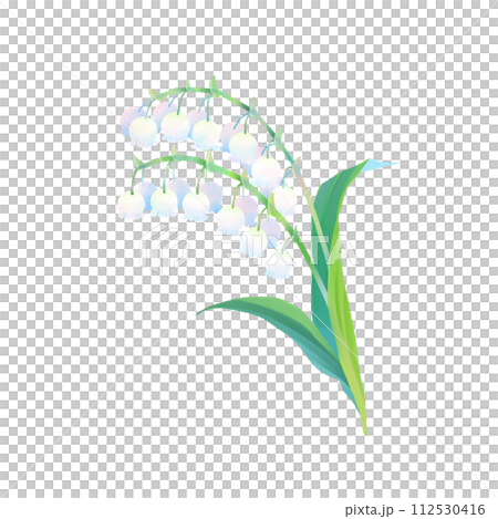 鈴蘭のイラスト 鈴蘭のイラスト 112530416