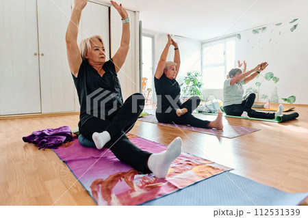 A group of senior women engage in various yoga exercises, including neck, back, and leg stretches, under the guidance of a trainer in a sunlit space, promoting well-being and harmony A group of senior women engage in various yoga exercises, including neck, back, and leg stretches, under the guidance of a trainer in a sunlit space, promoting well-being and harmony 112531339