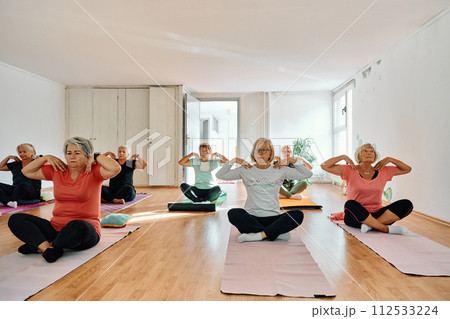 A group of senior women engage in various yoga exercises, including neck, back, and leg stretches, under the guidance of a trainer in a sunlit space, promoting well-being and harmony A group of senior women engage in various yoga exercises, including neck, back, and leg stretches, under the guidance of a trainer in a sunlit space, promoting well-being and harmony 112533224