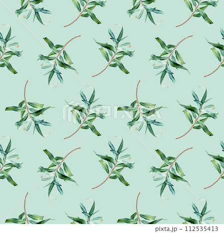 Watercolor seamless pattern with sea buckthorn leaves branches. Hand drawn botanical illustration on isolated background for wrapping wallpaper fabric textile 112535413