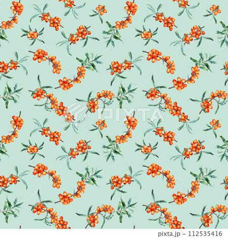 Watercolor seamless pattern with medicinal plant sea buckthorn branches. Hand drawn botanical illustration on isolated background for wrapping wallpaper fabric textile 112535416