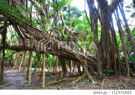 浜比嘉島　東の御嶽　シヌク堂 112535983