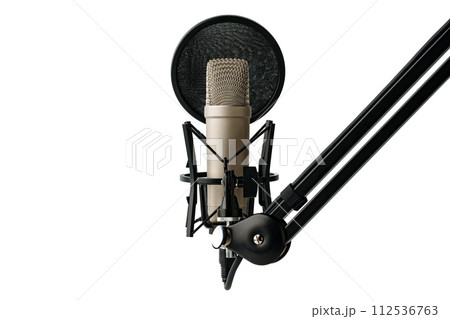Professional studio microphone on the white background 112536763