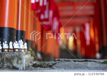 鎌倉243　佐助稲荷神社4　鳥居 112536766