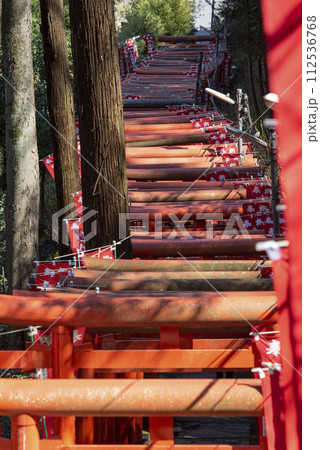 鎌倉243 佐助稲荷神社6 鳥居 鎌倉243 佐助稲荷神社6 鳥居 112536768
