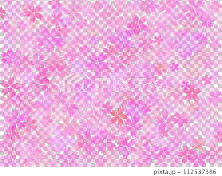 盛開的櫻花背景素材 112537386