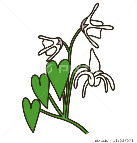 イカリソウ 112537571