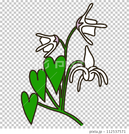 イカリソウ 112537571