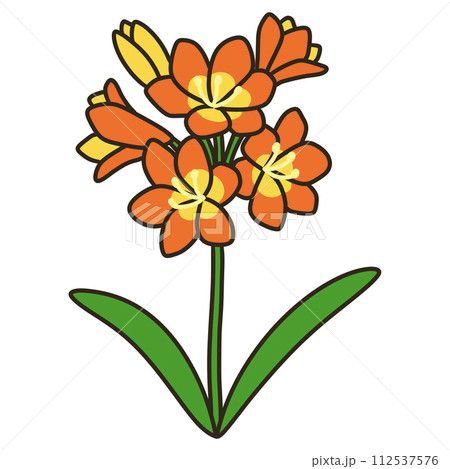 クンシラン 112537576